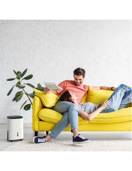 MeacoDry Arete 10L Nem Alma ve Hava Temizleme Cihazı